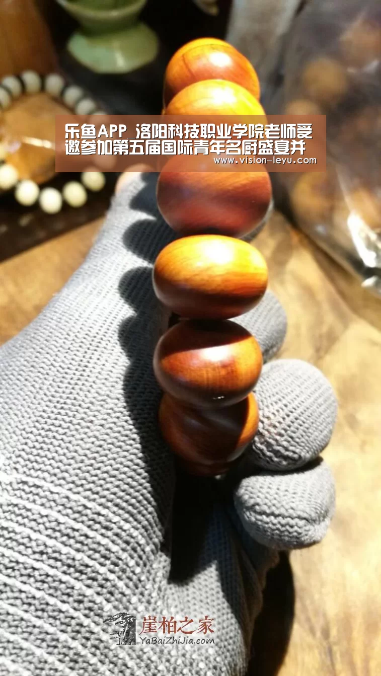 乐鱼APP_洛阳科技职业学院老师受邀参加第五届国际青年名厨盛宴并获法国蓝带美食勋章(图2) Leyu体育官方平台